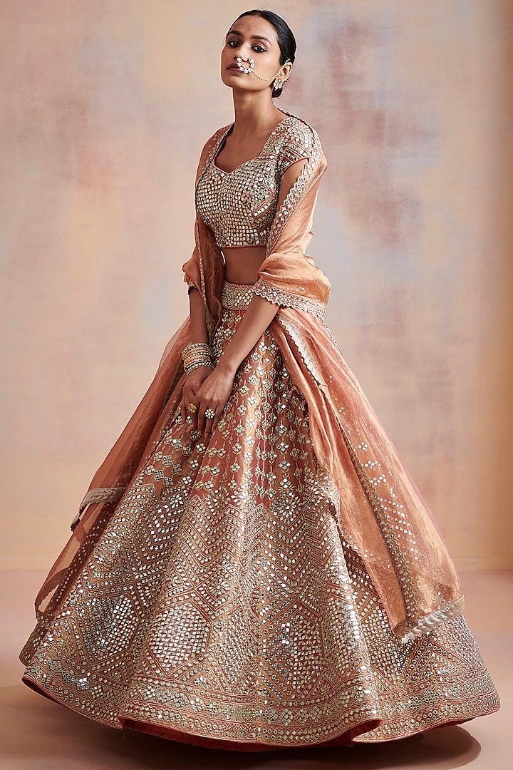 Rust Embroidered Lehenga Set by Suhino