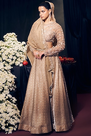 Nude Tissue Organza Silk Embroidered Lehenga Set by Suruchi Parakh