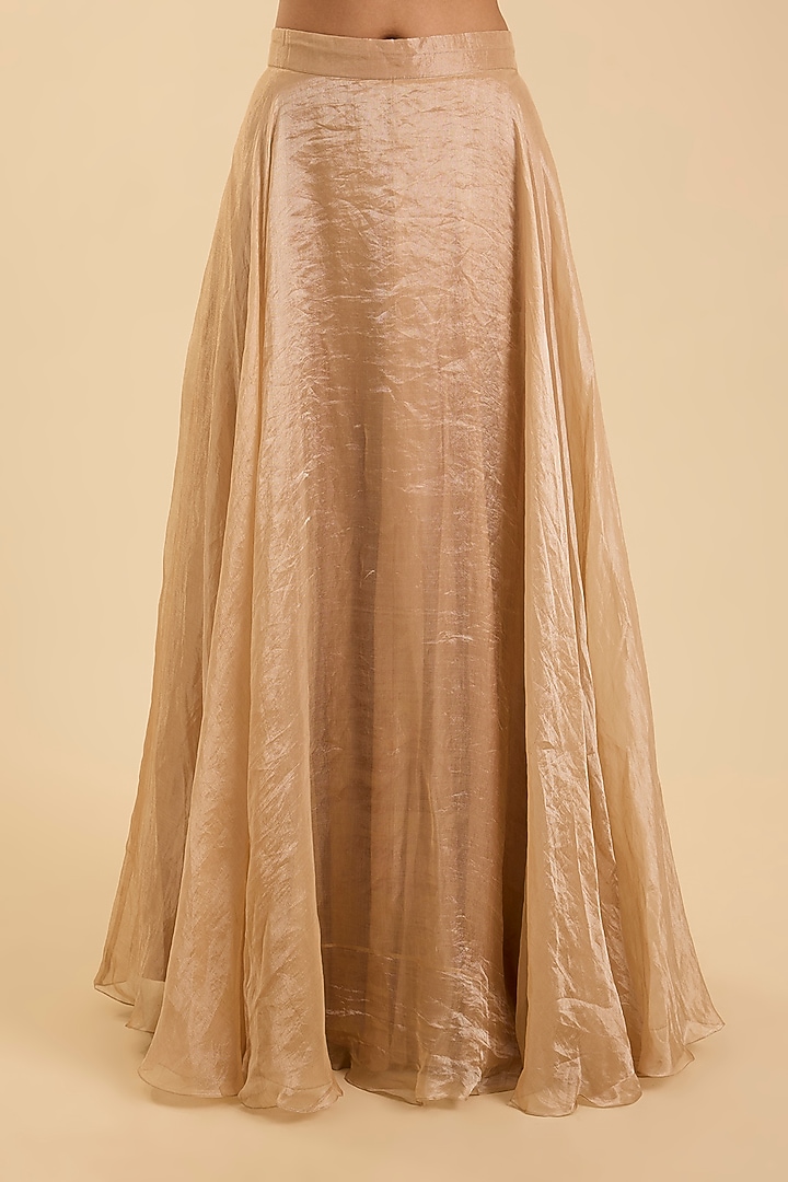 Beige Tissue Skirt Set by Surbhi Shah at Pernia's Pop Up Shop