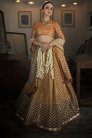 Orange Handwoven Chanderi Hand Block Printed Lehenga Set by Swatti Kapoor