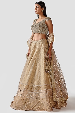 Light Gold Lehenga Set With Hand Embroidery by Swati Narula