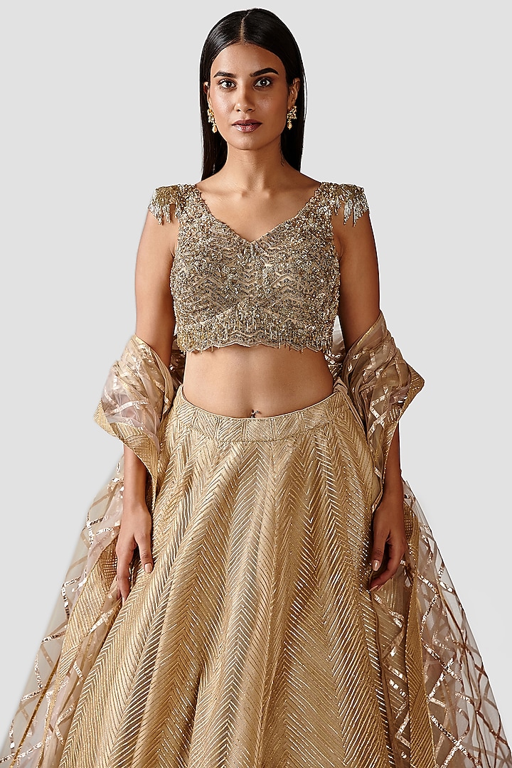 Made to Order Indian Designer Light Gold Sequins Saree Lehenga