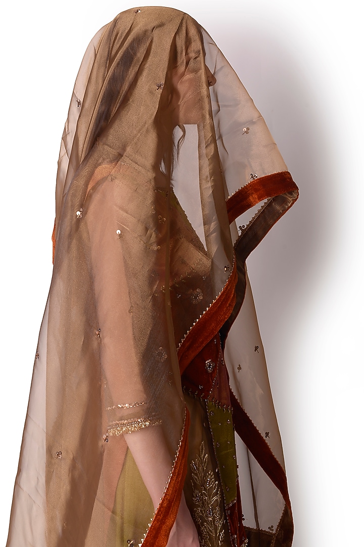 Rust & Olive Tissue Party Wear Sharara Set by Shwetanga at Pernia's Pop Up Shop