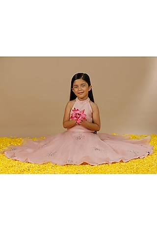 Pastel Pink Silk Organza Hand Embroidered Lehenga Set by Swati Golyan