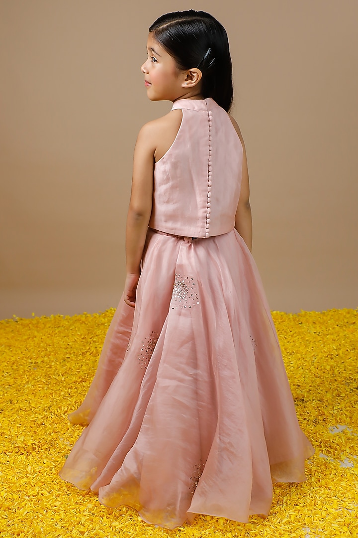 Pastel Pink Silk Organza Hand Embroidered Lehenga Set by Swati Golyan at Pernia's Pop Up Shop