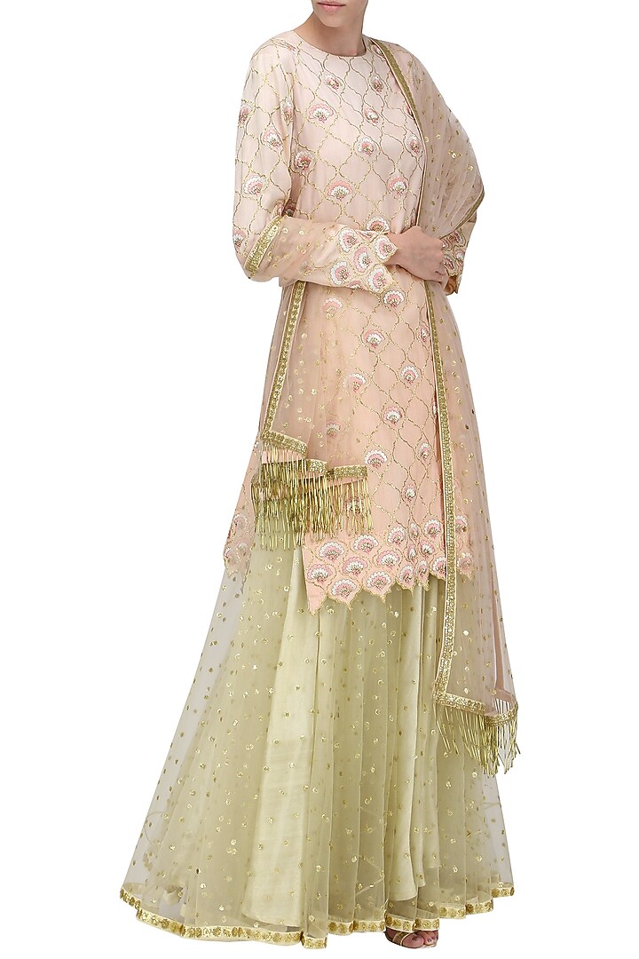 Peach piyali and resham boote short skirt in chanderi with net dupatta available only at Pernia's Pop Up Shop.