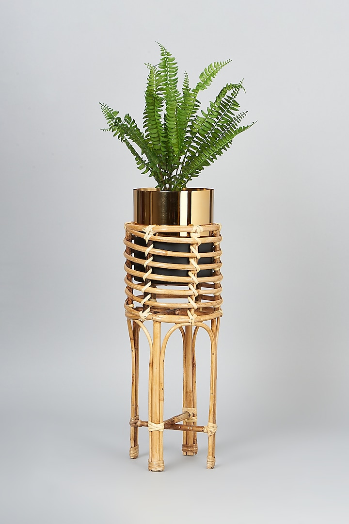Beige Cane Planter by SYMETTRY