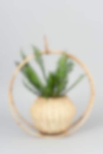 Beige Cane Handmade Hanging Planter by SYMETTRY