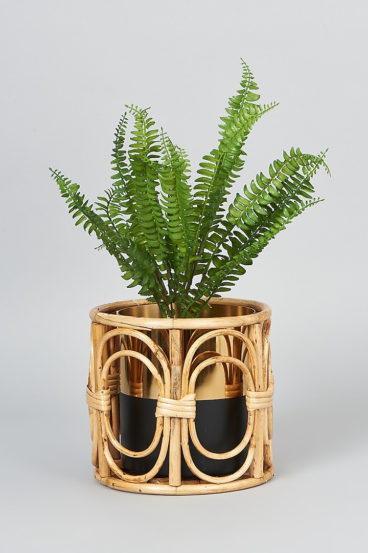 Beige Cane Handmade Planter by SYMETTRY