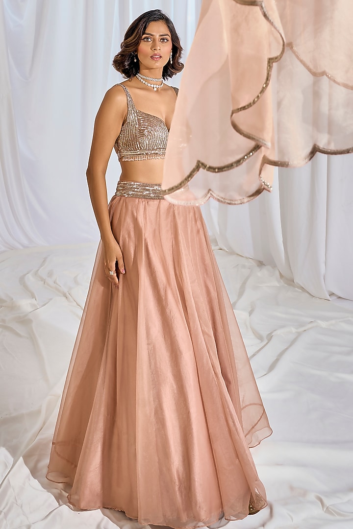 Pale Peach Organza Cutdana & Sequins Embroidered Wedding Lehenga Set by TABEER INDIA at Pernia's Pop Up Shop