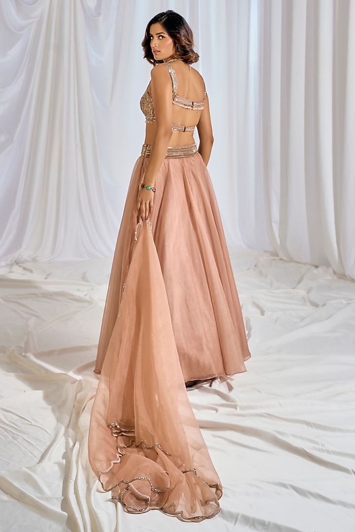 Pale Peach Organza Cutdana & Sequins Embroidered Wedding Lehenga Set by TABEER INDIA at Pernia's Pop Up Shop