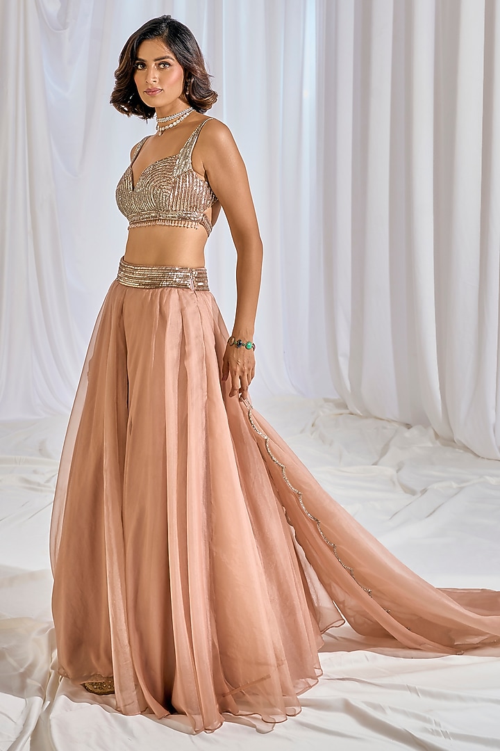 Pale Peach Organza Cutdana & Sequins Embroidered Wedding Lehenga Set by TABEER INDIA at Pernia's Pop Up Shop