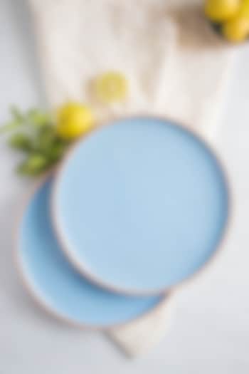Blue & Brown Ceramic Dinner Plates (Set of 2) by The Table Fable