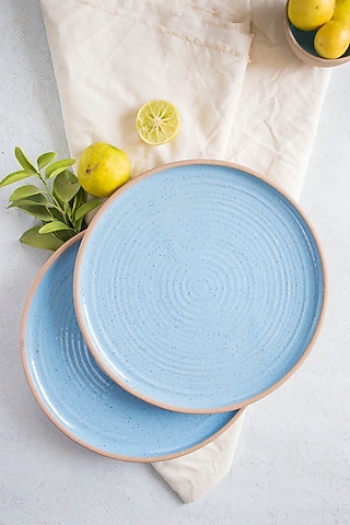 Blue & Brown Ceramic Quarter Plates (Set of 2) by The Table Fable