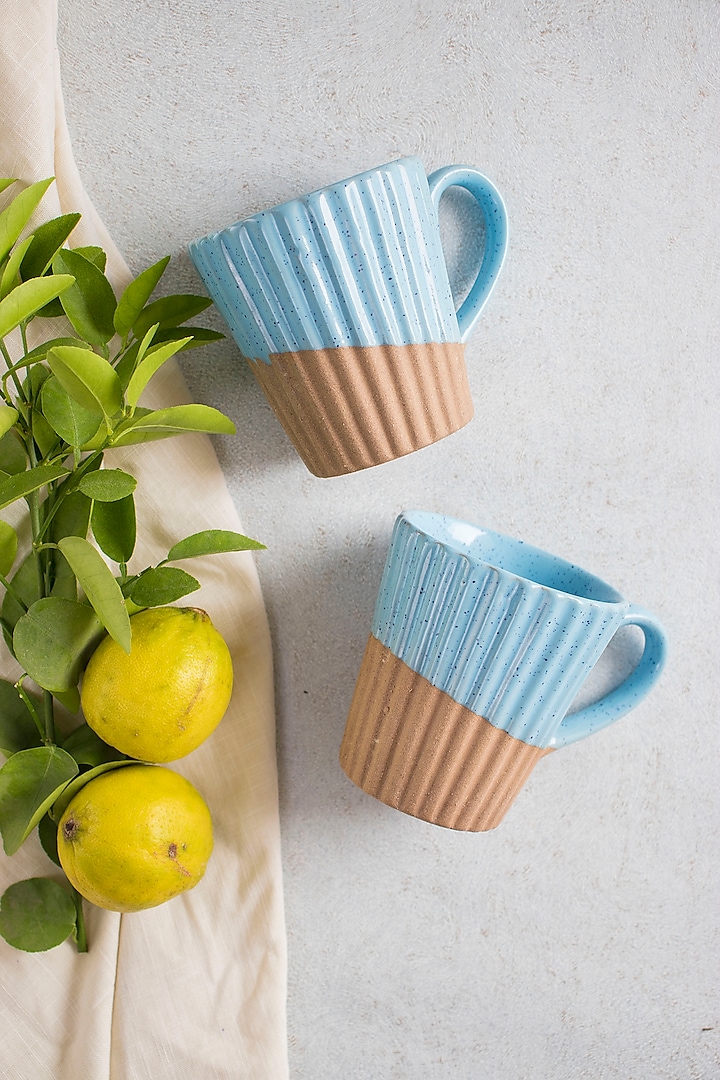 Blue & Brown Ceramic Mugs (Set of 2) by The Table Fable