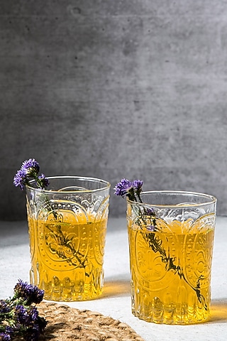 Transparent Verdure Glasses (Set of 6) by The Table Fable