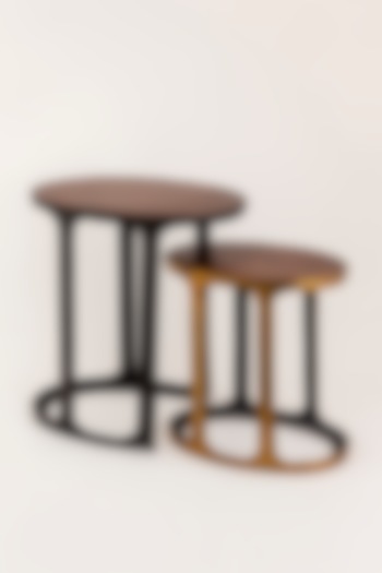 Graphite Black & Antique Brass Finished Mango Wood Nesting Tables (Set of 2) by Taho Living