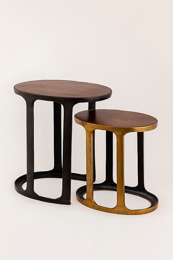 Graphite Black & Antique Brass Finished Mango Wood Nesting Tables (Set of 2) by Taho Living