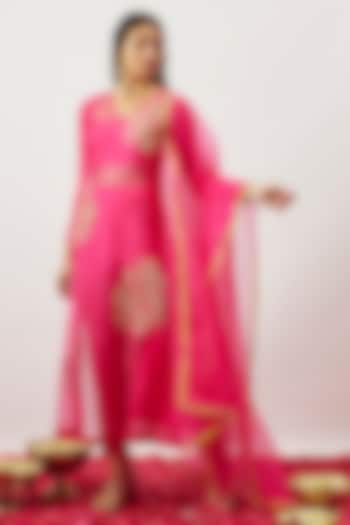 Pink Handwoven Chanderi Zari Dori Embroidered Kalidar Kurta Set by The Aarya