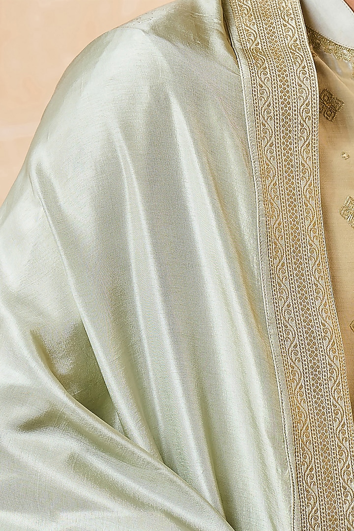 Light Green Zari Jacquard Stole by TASVA at Pernia's Pop Up Shop