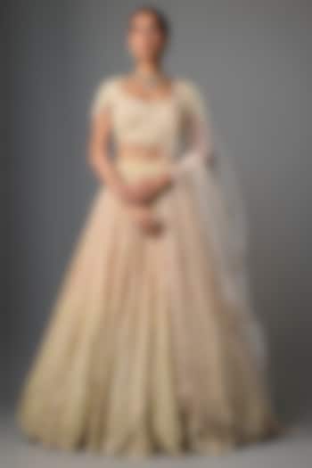 Blush Pink & Mint Net Sequins Embroidered Bridal Lehenga Set by Tarun Tahiliani at Pernia's Pop Up Shop