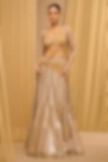 Gold Tulle Metallic Gota Embroidered Concept Saree Set by Tarun Tahiliani at Pernia's Pop Up Shop