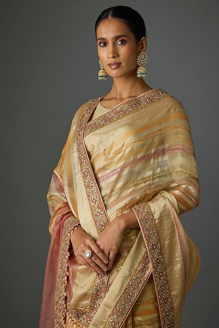 Multi-Colored Silk Organza Reception Saree Set by Tarun Tahiliani at Pernia's Pop Up Shop