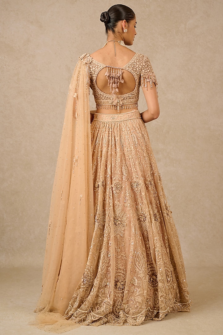 Gold Tulle Embroidered Maxi Dress Design by Rahul Mishra at Pernia's Pop Up  Shop 2024