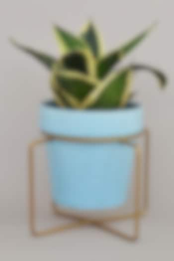 Blue & Gold Ceramic Planters (Set of 2) by The Blooming Bagh at Pernia's Pop Up Shop