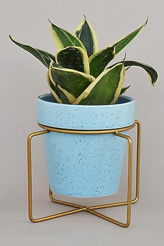 Blue & Gold Ceramic Planters (Set of 2) by The Blooming Bagh