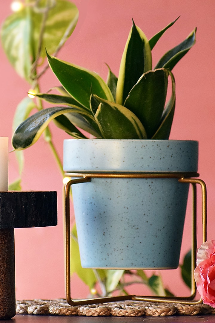 Blue & Gold Ceramic Planters (Set of 2) by The Blooming Bagh at Pernia's Pop Up Shop
