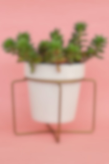 White & Gold Ceramic Planters (Set of 2) by The Blooming Bagh at Pernia's Pop Up Shop