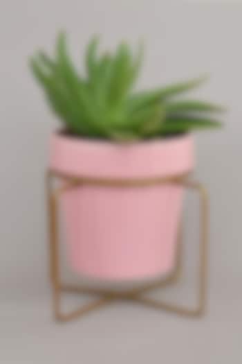 Pink & Gold Ceramic Planters (Set of 2) by The Blooming Bagh at Pernia's Pop Up Shop