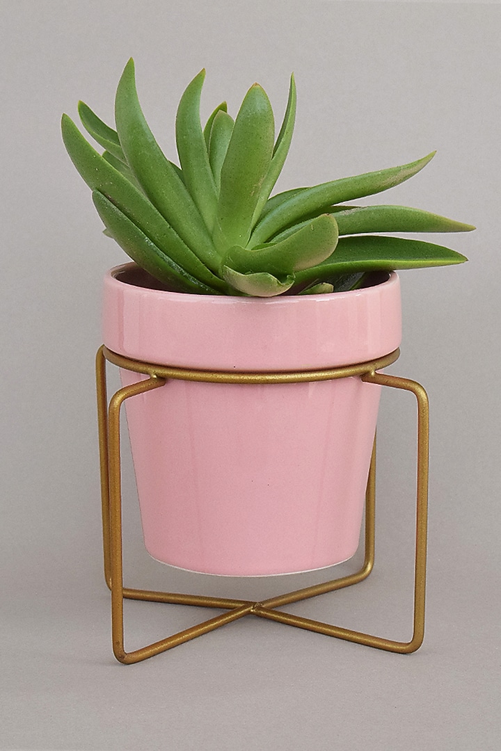 Pink & Gold Ceramic Planters (Set of 2) by The Blooming Bagh at Pernia's Pop Up Shop