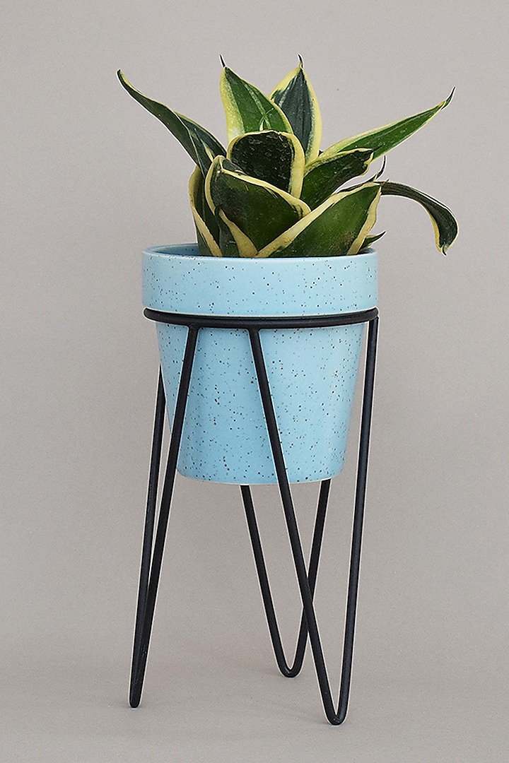 Blue Ceramic Planters (Set of 2) by The Blooming Bagh at Pernia's Pop Up Shop