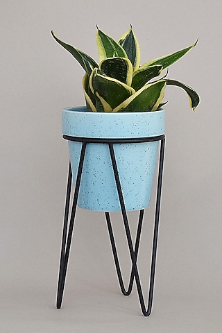 Blue Ceramic Planters (Set of 2) by The Blooming Bagh