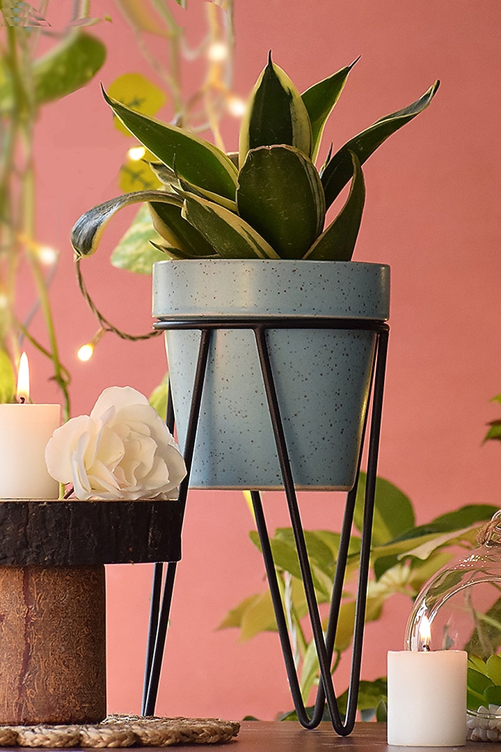 Blue Ceramic Planters (Set of 2) by The Blooming Bagh at Pernia's Pop Up Shop