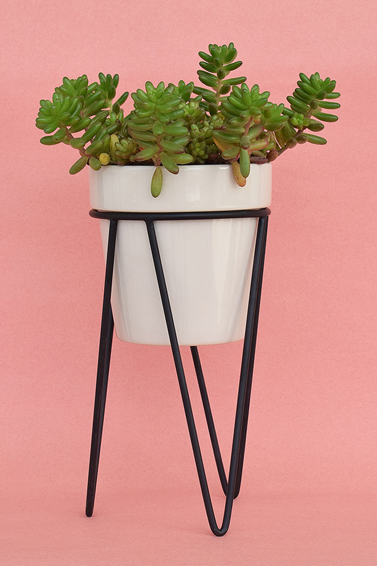 White Ceramic Planters (Set of 2) by The Blooming Bagh at Pernia's Pop Up Shop