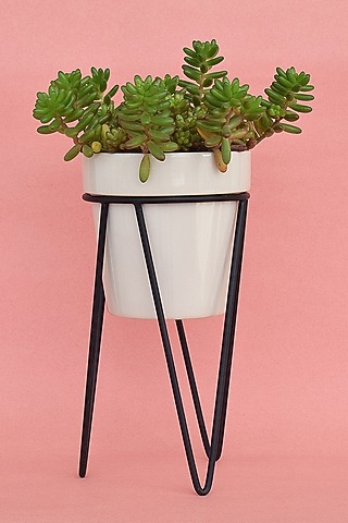 White Ceramic Planters (Set of 2) by The Blooming Bagh