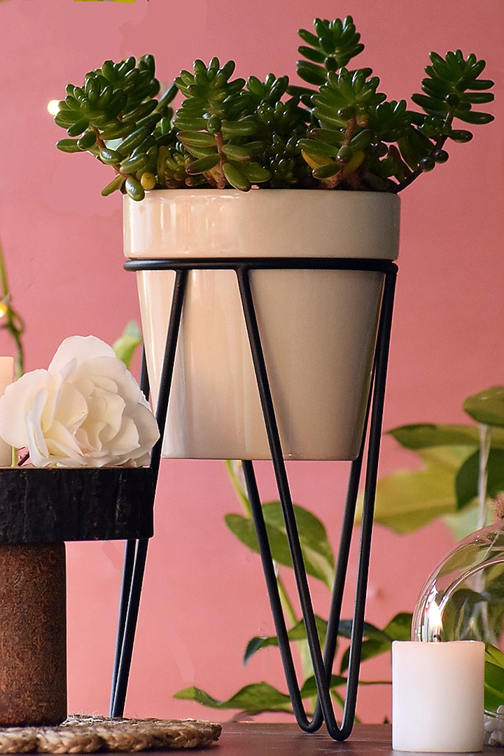 White Ceramic Planters (Set of 2) by The Blooming Bagh at Pernia's Pop Up Shop