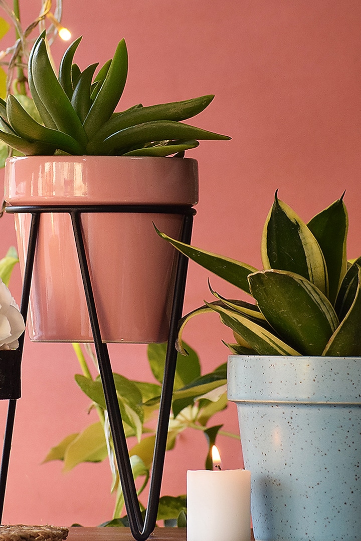 Pink Ceramic Planters (Set of 2) by The Blooming Bagh at Pernia's Pop Up Shop