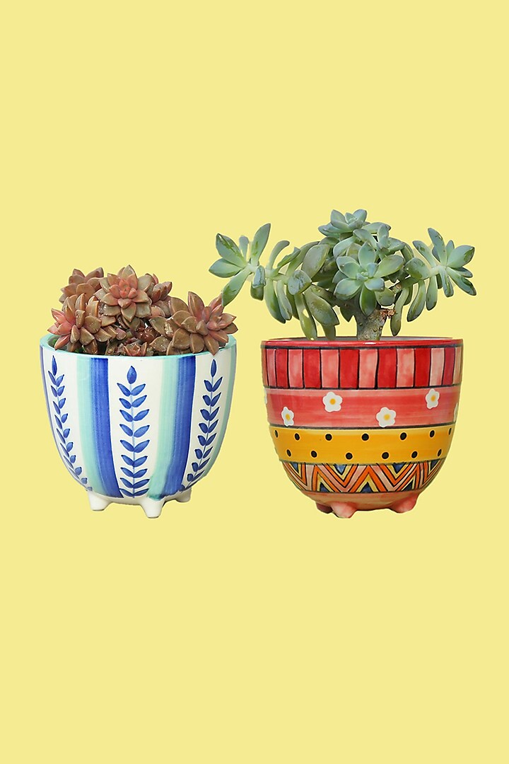 Small Succulent Ceramic Planters (Set of 2) by The Blooming Bagh at Pernia's Pop Up Shop