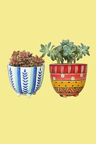 Small Succulent Ceramic Planters (Set of 2) by The Blooming Bagh