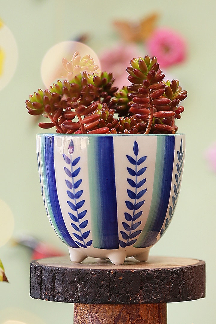 Small Succulent Ceramic Planters (Set of 2) by The Blooming Bagh at Pernia's Pop Up Shop