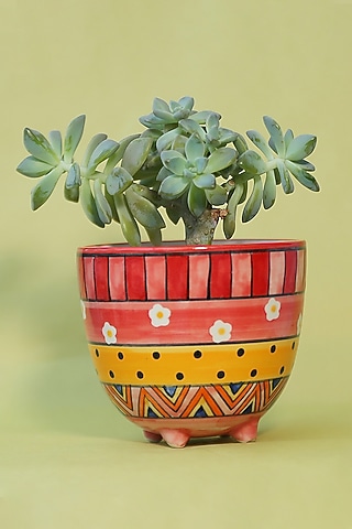 Small Succulent Ceramic Planters by The Blooming Bagh