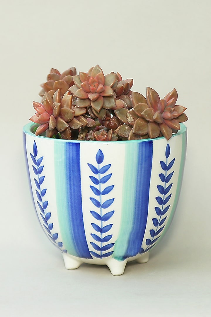 Small Succulent Ceramic Planters by The Blooming Bagh at Pernia's Pop Up Shop