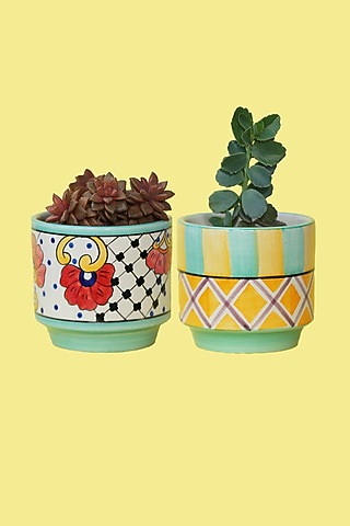 Colorful Small Ceramic Planters by The Blooming Bagh