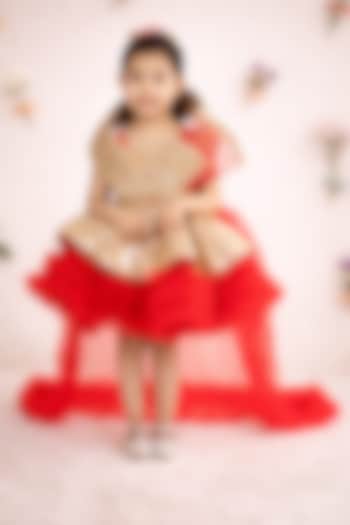 Red & Golden Net Embroidered Dress For Girls by Devykids at Pernia's Pop Up Shop