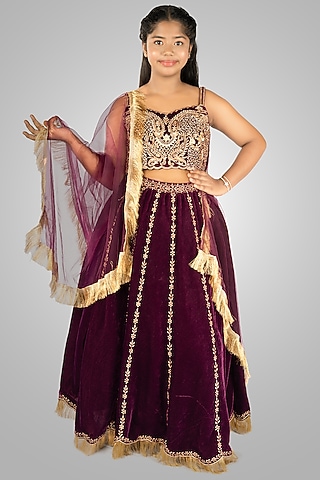Wine Velvet Embroidered Lehenga Set by Devykids