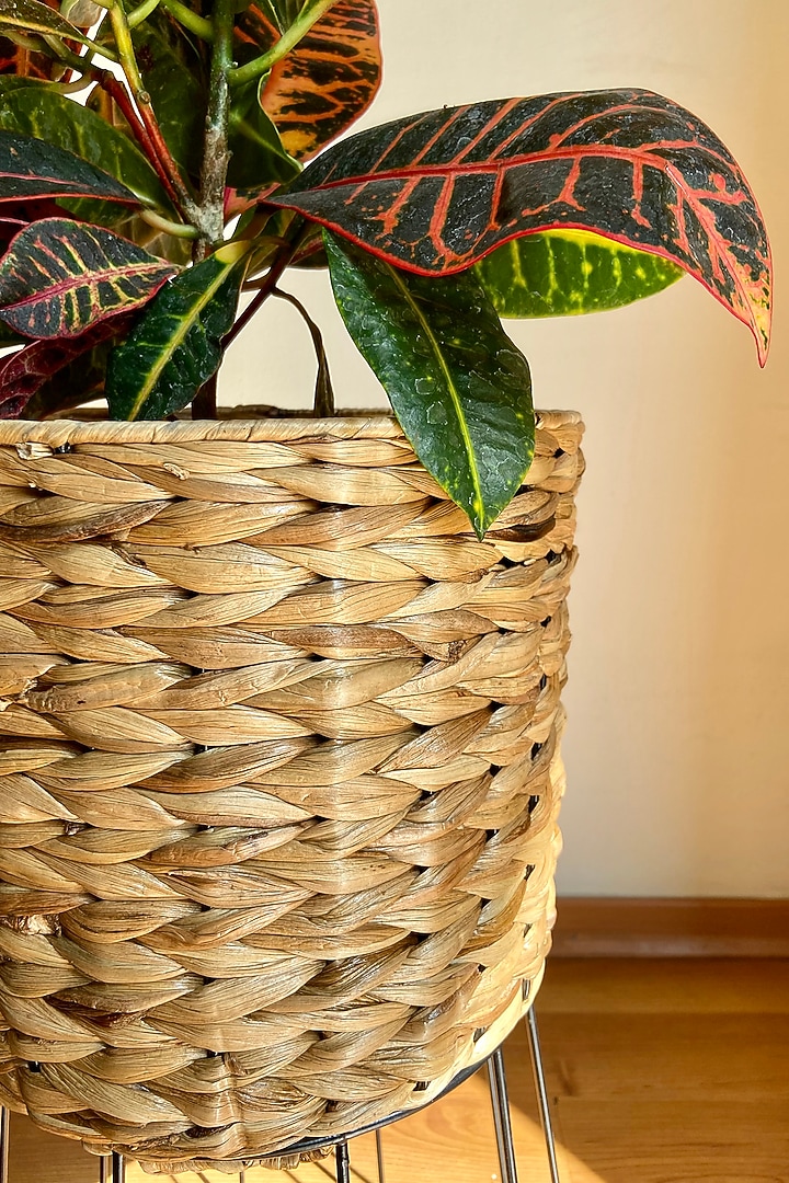 Brown & Black Water Hyacinth Planter by The house of trendz at Pernia's Pop Up Shop